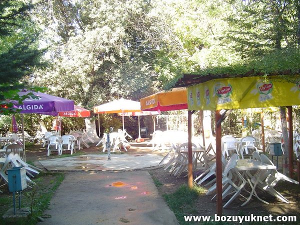 bozuyuk21